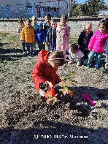 Дръвчета с послание срещу насилието над деца засадиха в община Левски