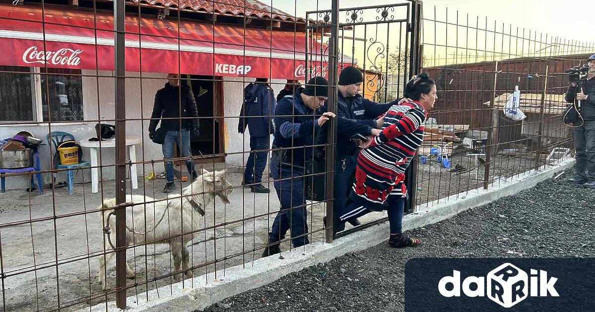 14 души сред които трима дилъри на гласове са задържани до