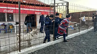 14 задържани в спецакция на МВР в Бургас /СНИМКИ/