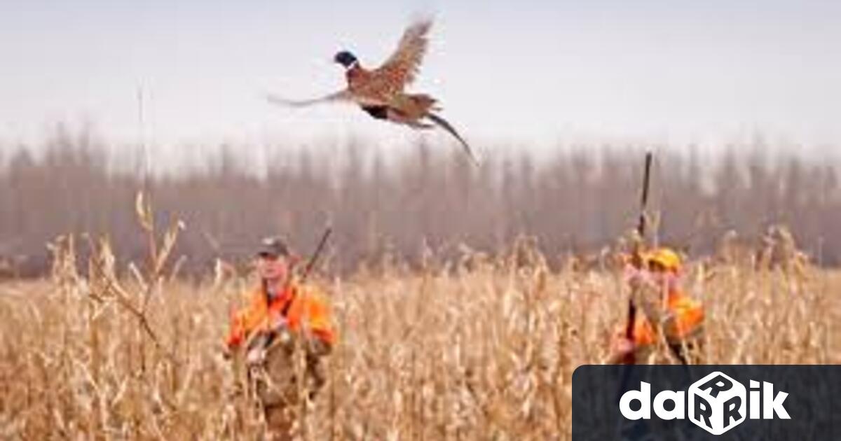 Провериха ловните дружинки в района на Козлодуй не са открити