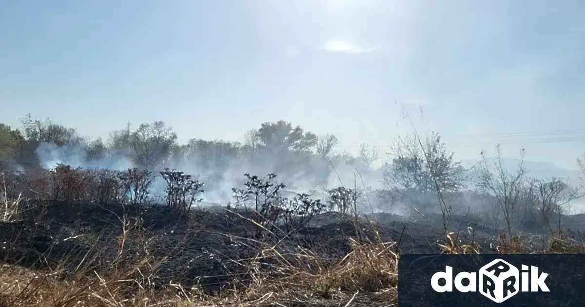 РИОСВ – Пловдив отчита сериозно замърсяване на въздуха след пожара