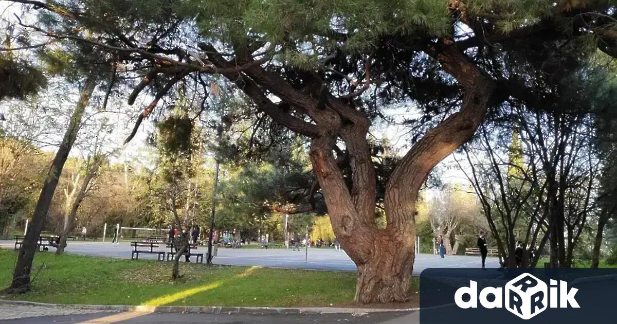 Прогнозата на НИМХ за понеделник е за мъглив старт на