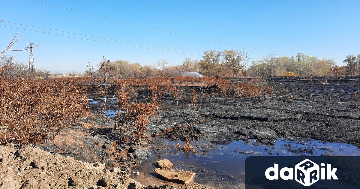 Въздухът в Пловдив и близките населени места се изчисти съобщиха