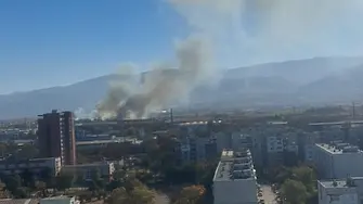 Пожар в района на Митницата в Пловдив  (снимки)