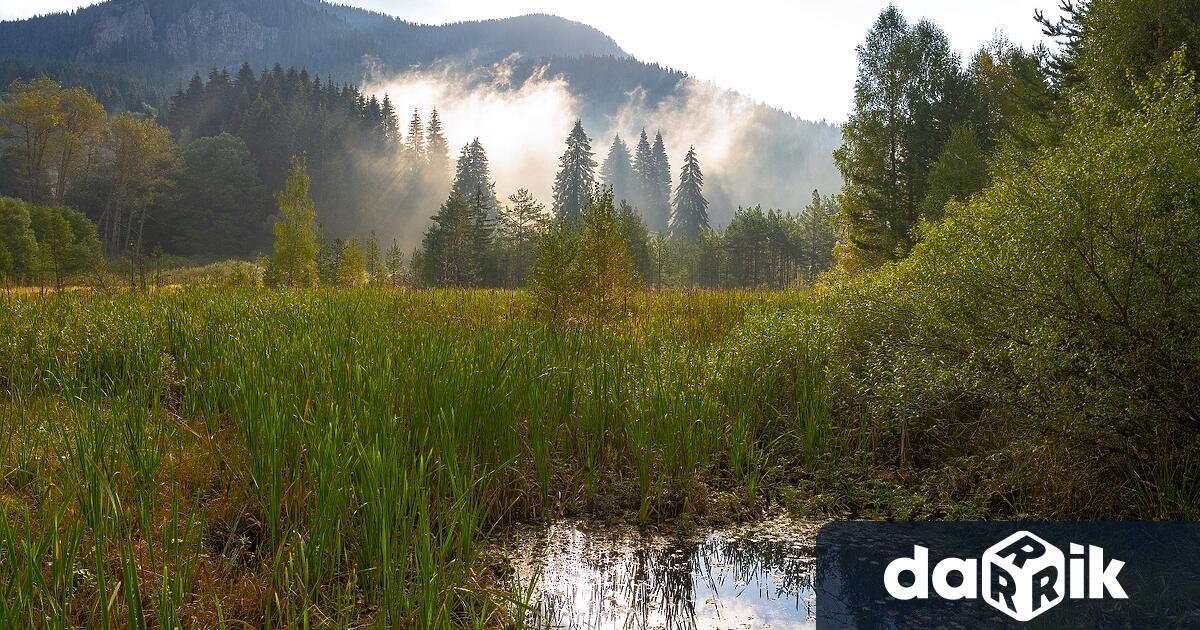 Служители на Девин ЕАД от цяла България се включиха в