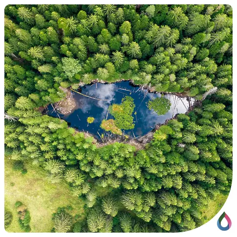  Доброволчески ден край Чаирските езера възвръща неповторимите торфища 