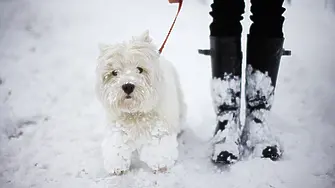 Първи сняг за сезона! (ВИДЕО)