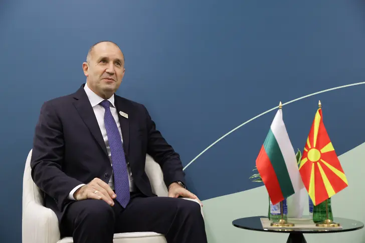  Силяновска-Давкова: Радев е най-стабилният детайл в страната 