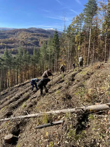 Стартира есенната кампания по залесяване на територията на СЗДП ДП