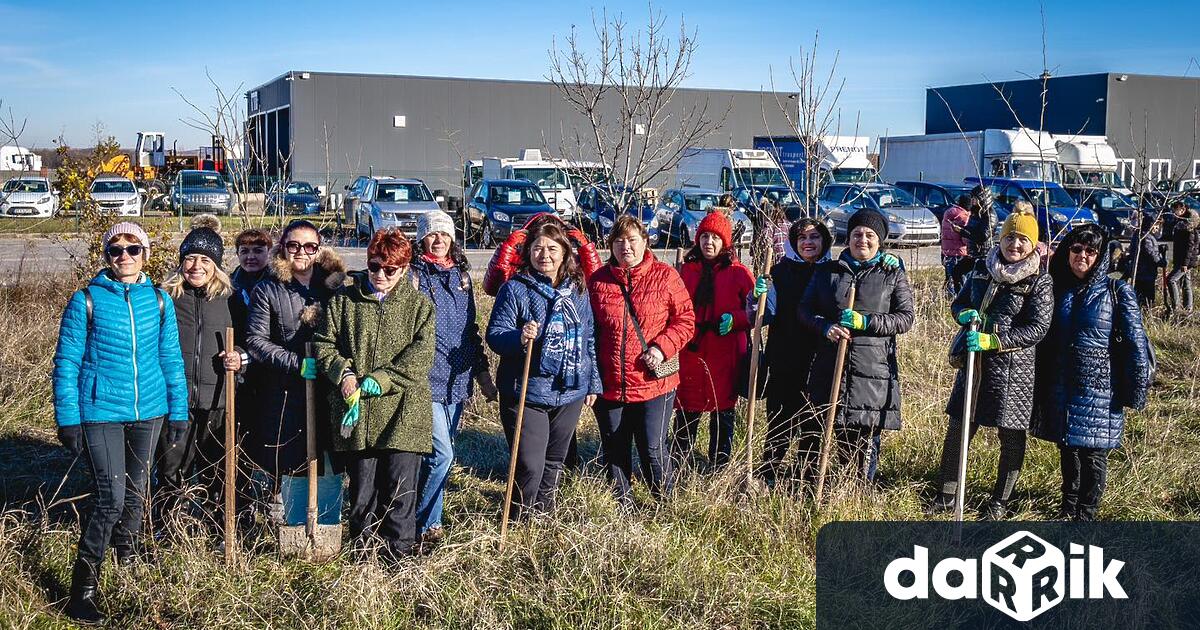 В поредната инициатива на кампанията Зелена Враца бяха засадени нови