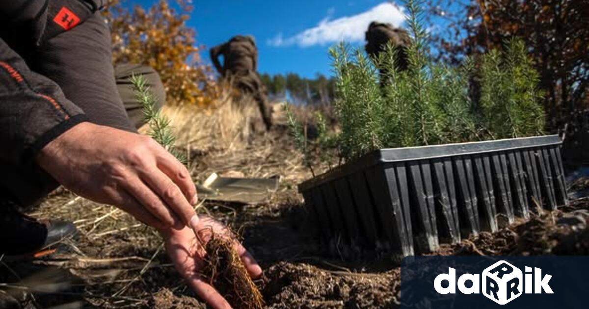 Община Твърдица дадестарт по възстановяването на 110 декара изгорели горски