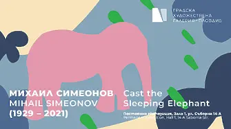 Градската художествена галерия представя „CAST THE SLEEPING ELEPHANT”