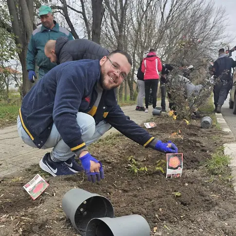 Засадиха близо 700 рози в село Роза 