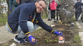 Засадиха близо 700 рози в село Роза 