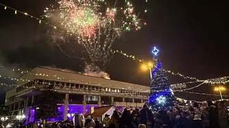 Видин грейна в коледни светлини