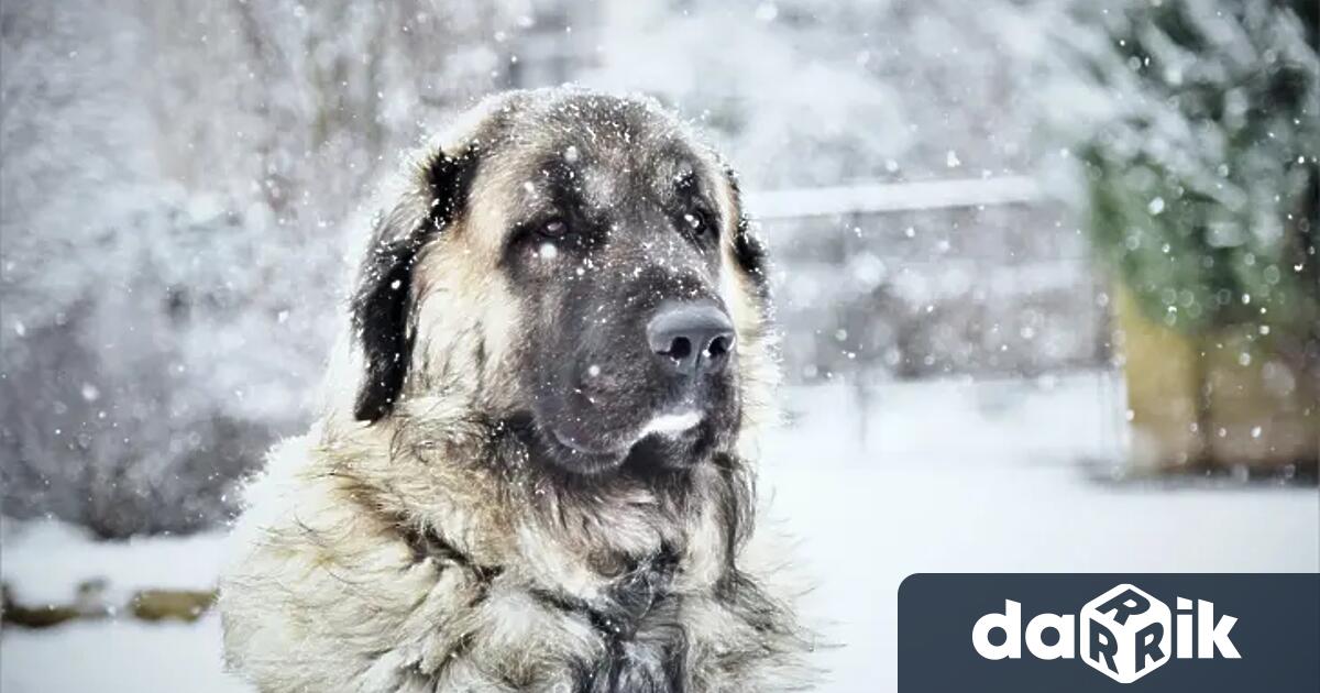 Жълт код за дъжд и сняг е обявен в събота