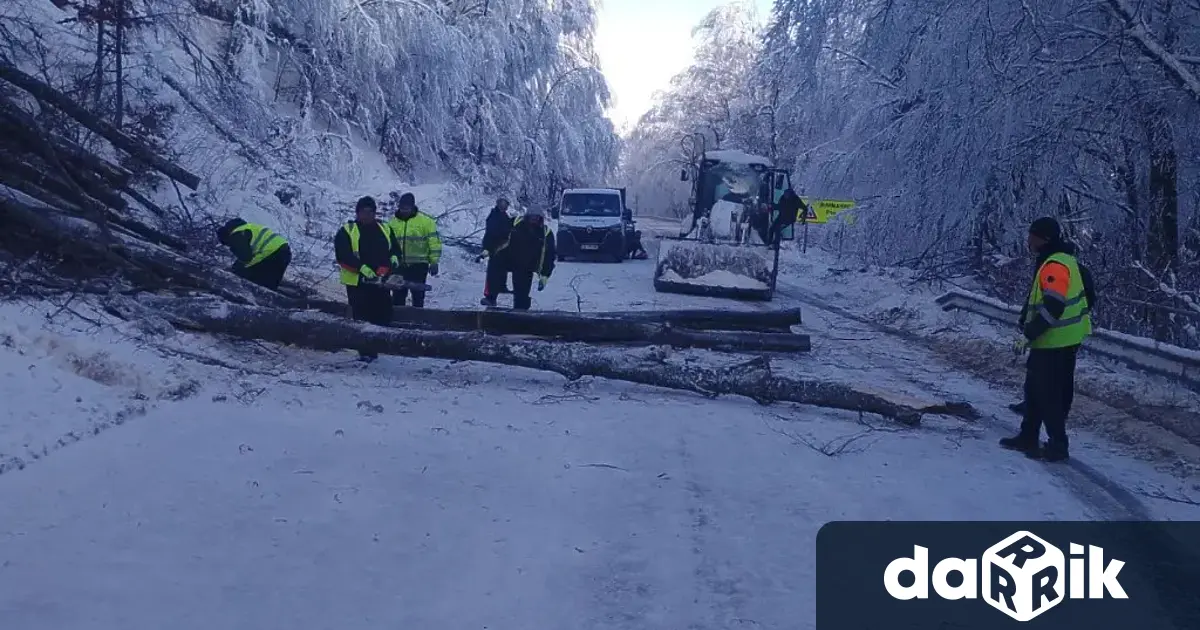 3 екипа премахват падналите дървета на пътя през прохода Петрохан В