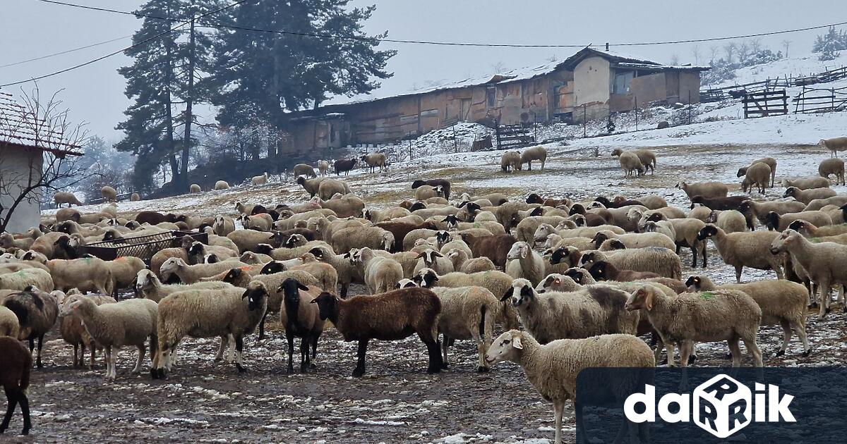 Хората не вярват на институциите и това недоверие се вижда