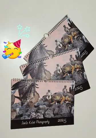  Дарик Благотворителен търг оказва помощ на хора в потребност. Включете се! 