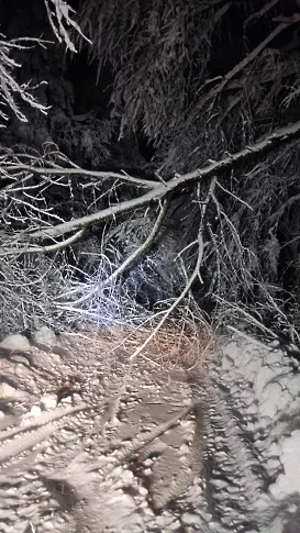  Над 25 аварийно-спасителни интервенции в Родопската яка за последните 24 часа (снимки) 