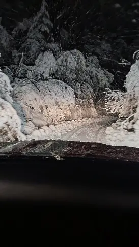  Над 25 аварийно-спасителни интервенции в Родопската яка за последните 24 часа (снимки) 