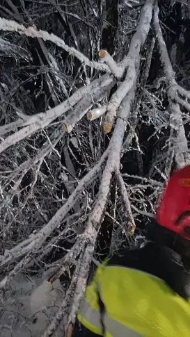  Над 25 аварийно-спасителни интервенции в Родопската яка за последните 24 часа (снимки) 