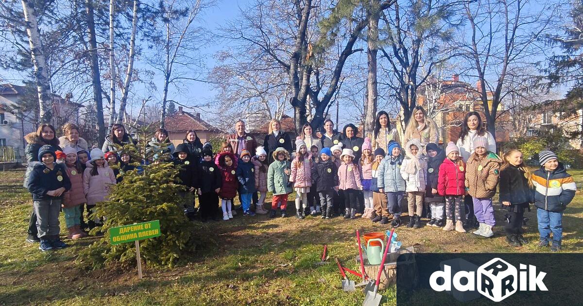 Да засадим живите коледни дръвчета на открито след празниците В подкрепа