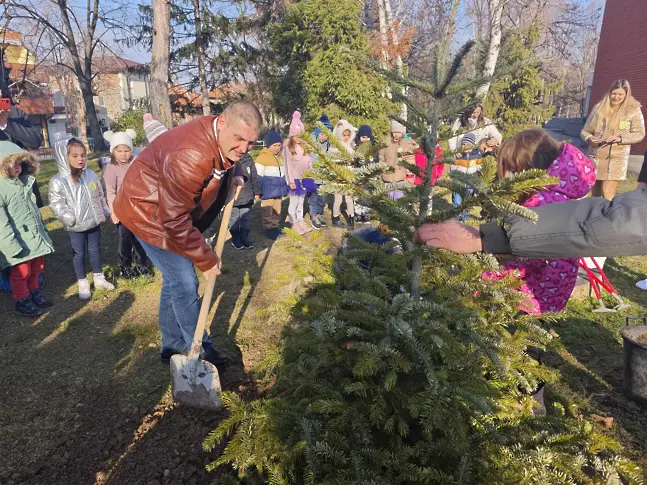  Нека засадим живите коледни дръвчета навън след празниците 