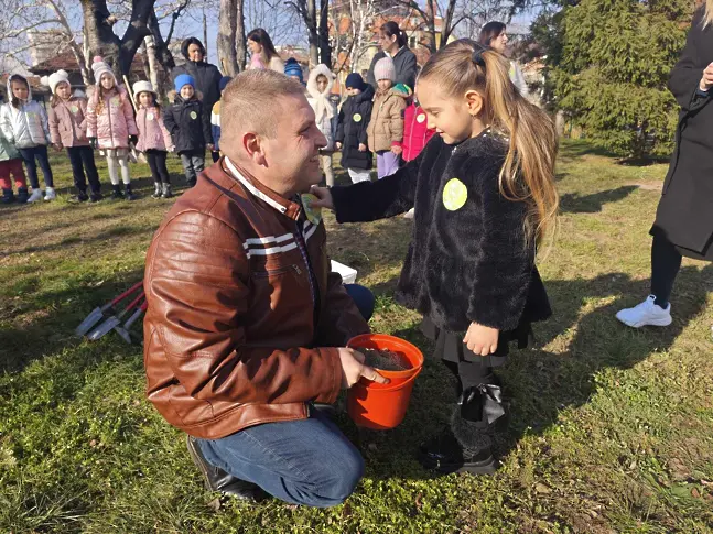  Нека засадим живите коледни дръвчета навън след празниците 