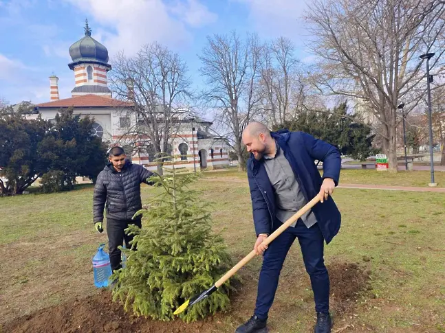  Нека засадим живите коледни дръвчета навън след празниците 