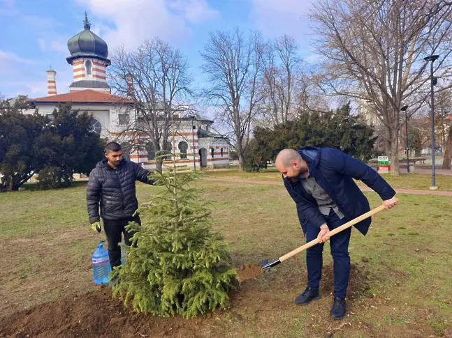  Нека засадим живите коледни дръвчета навън след празниците 