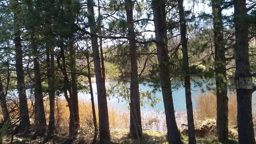  м. Карандила 