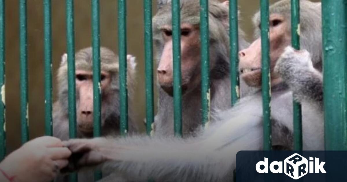 Общинските съветници от групата на Продължаваме Промяната – Демократична България