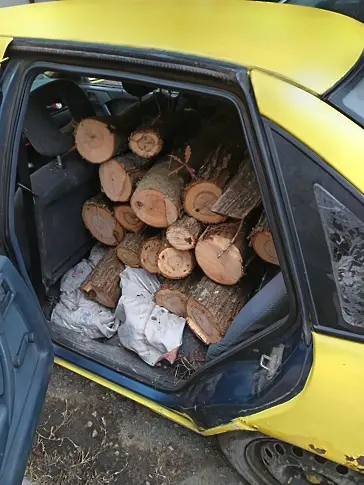  Служители на ДГС – Нова Загора откриха нелегално добита дървесина 