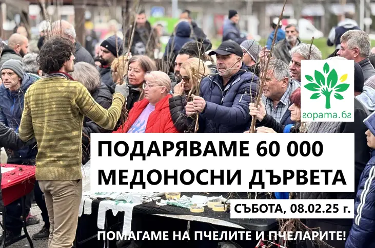 Тази събота: Гората.бг подарява 60 хиляди дръвчета в Плевен