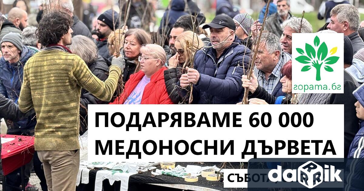 На 8 февруари събота Гората бг ще подари 60 000