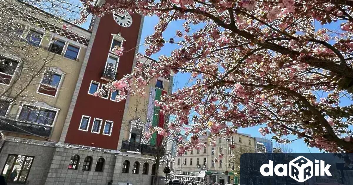 Осем нови семейства ще има от днес в Хасково информират