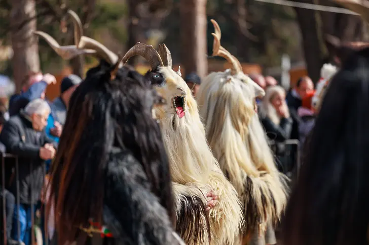  Кукерската тайфа „ Гребенци “ при НЧ „ Пробуда – 1940 година “ от с. Калипетрово, Община Силистра е огромният победител в Национален маскараден фестивал „ Джамала “ 