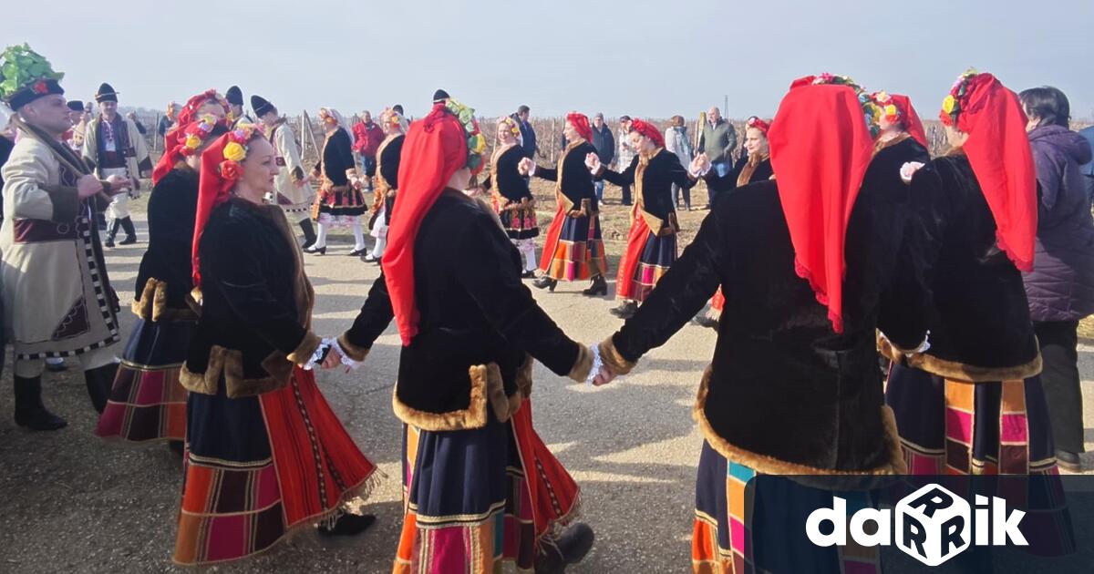 Единственият у нас Институт по лозарство и винарство в Плевен