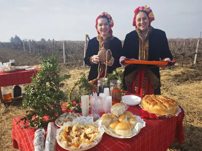  Институтът по лозарство и винарство в Плевен отпразнува с другари Трифон Зарезан/СНИМКИ/ 