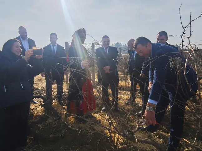  Институтът по лозарство и винарство в Плевен отпразнува с другари Трифон Зарезан/СНИМКИ/ 