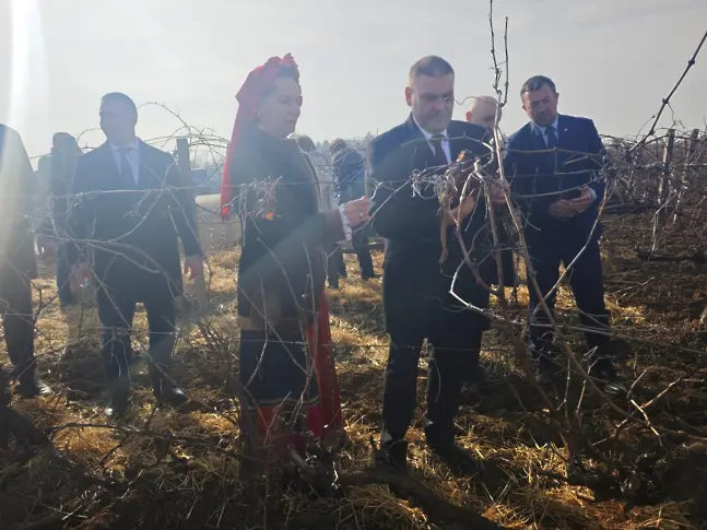 Институтът по лозарство и винарство в Плевен отпразнува с приятели Трифон Зарезан/СНИМКИ/