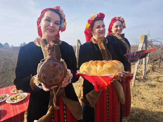 Институтът по лозарство и винарство в Плевен отпразнува с приятели Трифон Зарезан/СНИМКИ/