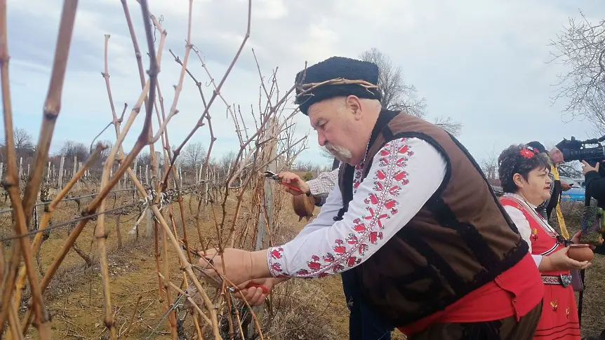 В Дома на виното в Северозападна България - село Типченица, честваха Трифон Зарезан