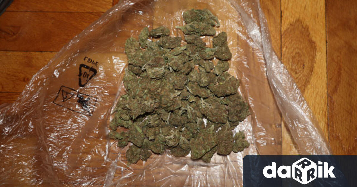 Три вида високорискови наркотични вещества иззели вчера криминалисти в хода