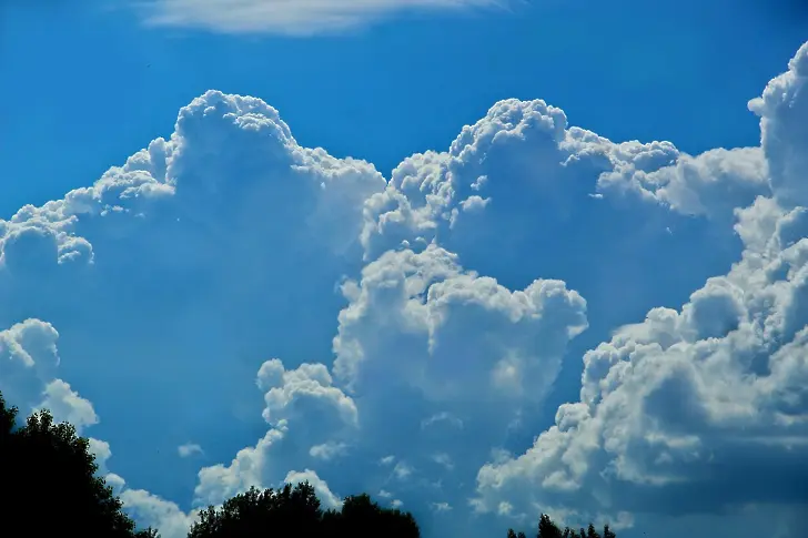  Снимка: Pixabay 