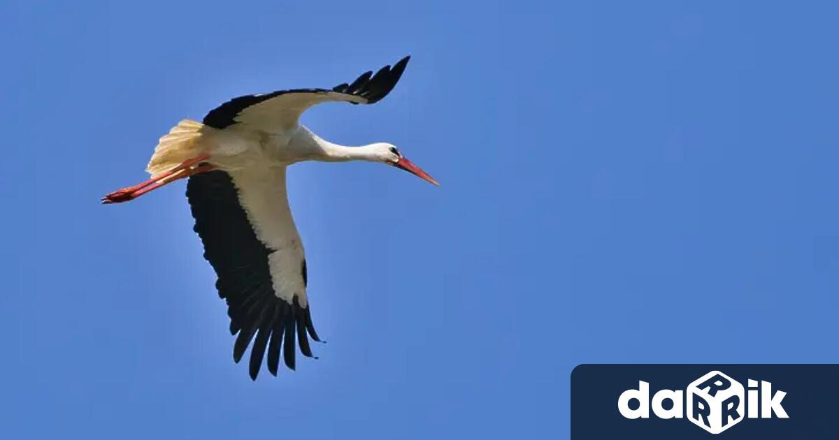 Днес ще бъде слънчево съобщават от НИМХ През нощтаще бъде