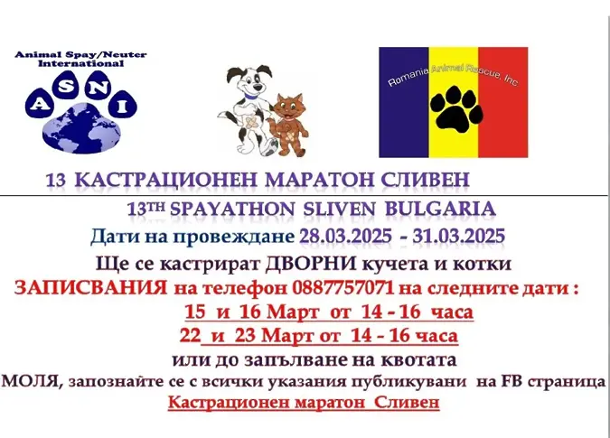 Предстои 13-и безплатен кастрационен маратон в Сливен