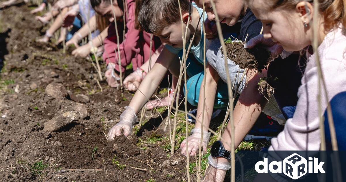 В първата за годината инициатива на Зелена Враца се включиха