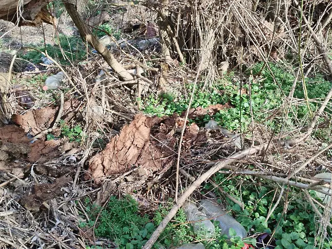  БМЧК - Ловеч почистиха боклуци към река Осъм в Деня на реката 